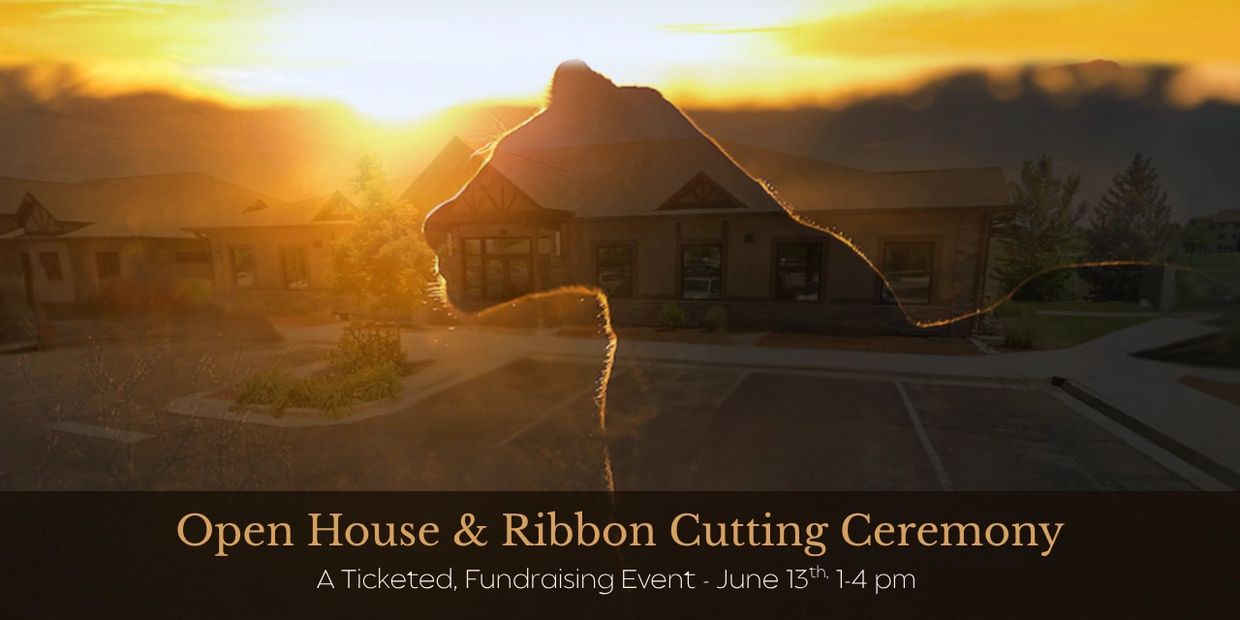 Arise! Open House and Ribbon Cutting Ceremony Greeley Co June 13th 2026