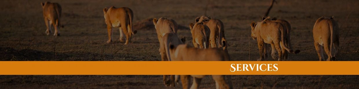 Soul Care in Greeley Colorado