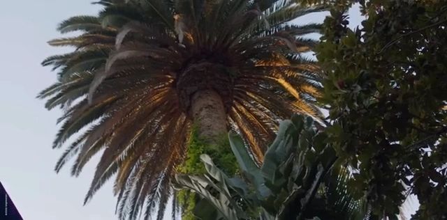 https://img1.wsimg.com/isteam/ip/ace3ba3d-efbd-469b-be04-47115a6e2467/thumbnails/thumbnail-aa7d4afa-167c-4048-b694-092c35882778.png