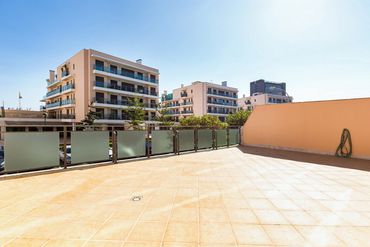 VIEW FROM THE TERRACE