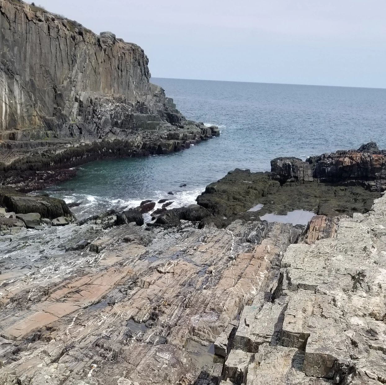 Rocky cliffs along the Atlantic coast of Maine. 