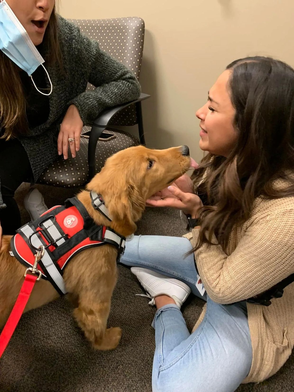 A dog licking the face of a woman