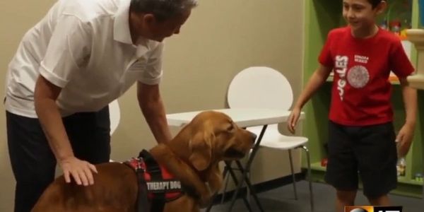 A man introducing a therapy dog to the boy