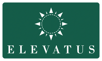 Elevatus Consulting