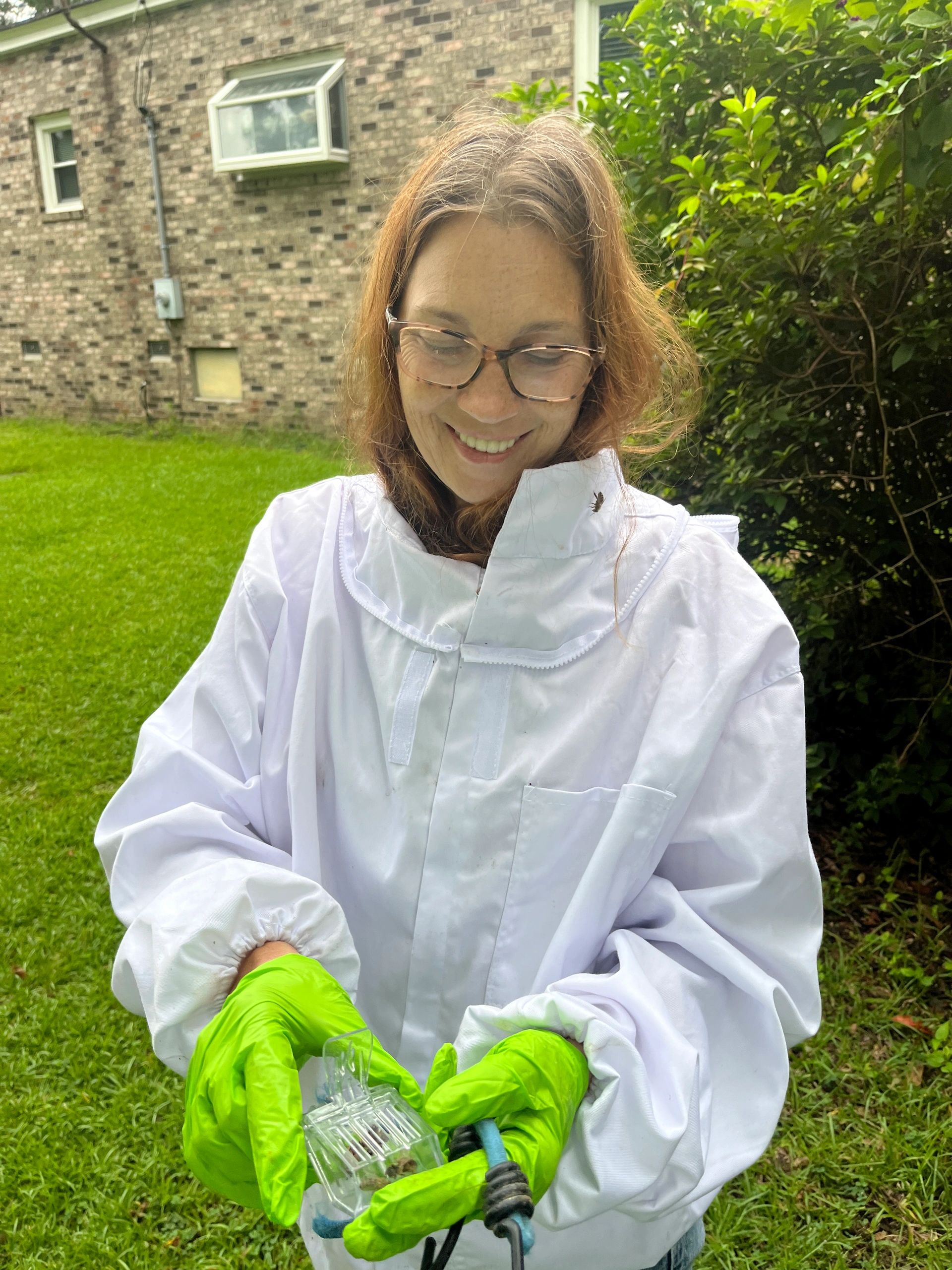 effingham co, rincon ga 31326 honeybee swarm removal rescue