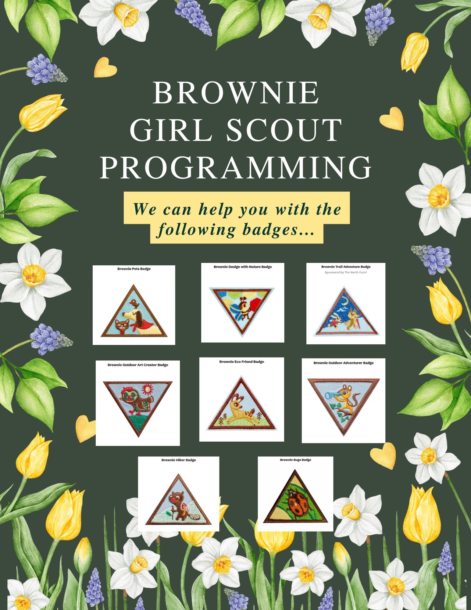 Brownie girl scout programming badge list for Georgia offerings