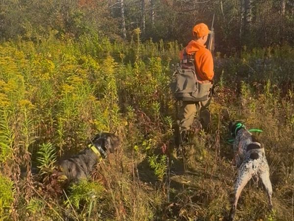 BACON HILL MAGGIE OF SALT POINT

027093

HDV

08/25/24

1-1

German Shorthaired Pointer

07/09/23

4
