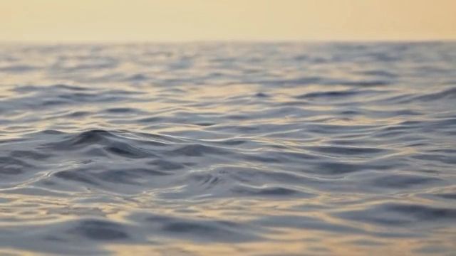 https://img1.wsimg.com/isteam/ip/acfbf5b9-e7ea-413b-9f15-11b5d371f5c3/thumbnails/thumbnail-90a0b28f-8d27-4bd4-aef3-8f07bdabac66.png
