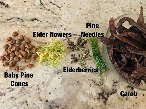 Foraging Baby Pine Cones, Elder Flowers, Pine Needles, Dried Elderberries, Carob seeds.