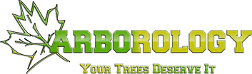 Arborology 