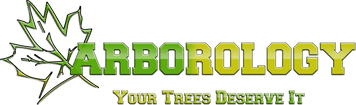 Arborology 
