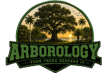 Arborology 