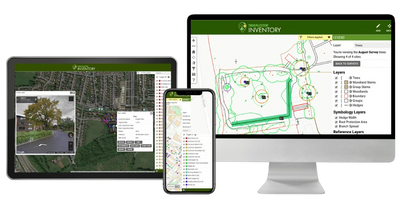 Arborology tree inventory in Florida