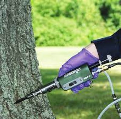 Arborology tree injection service.