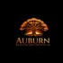 Auburn Healthcare Institute