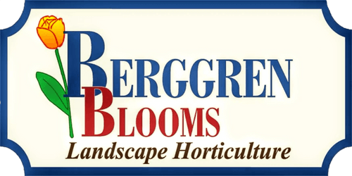 Berggren Blooms