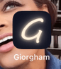 Giorgham Virpay, The Virtual Office!