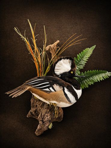 A colorful bird perched on a wooden branch with decorative plants.