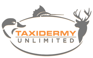 Taxidermy Unlimited