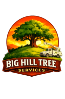 Big Hill Tree Services