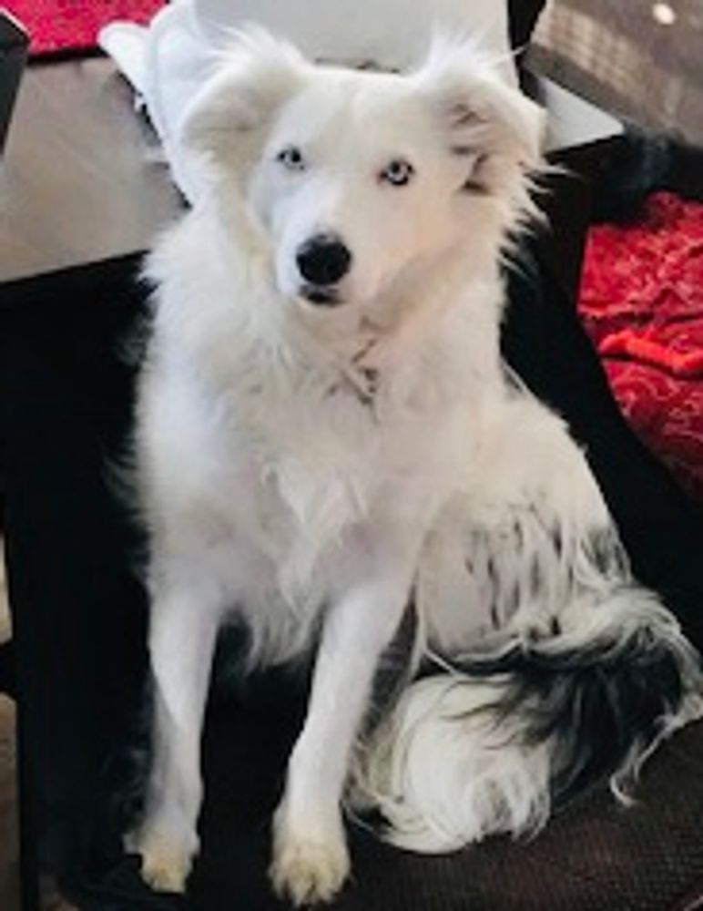 Hi! I’m Sunshine
