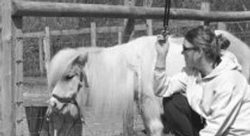 A person kneeling beside a small horse holding a stick outdoors.