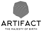 theartifact.co