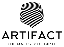 theartifact.co