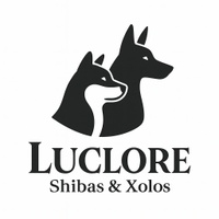 Luclore Shibas & Xolos