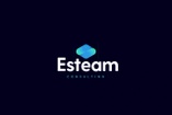 Esteam Consulting 