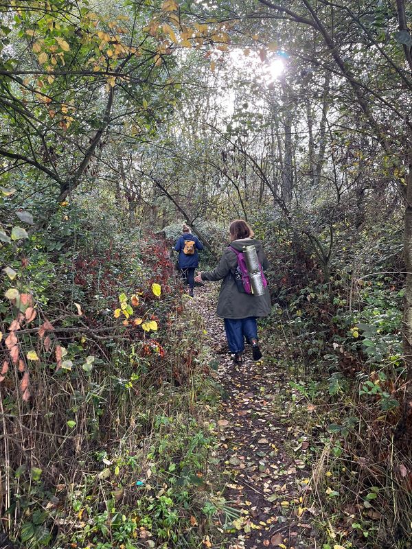 Two woman walking through the woods. Nature therapy. Ecotherapy. Nature connection. 