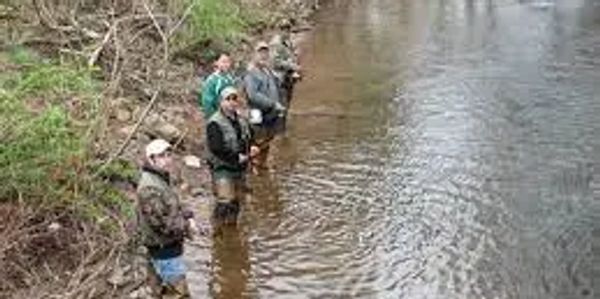 Trout stream called “BeeTree Run”