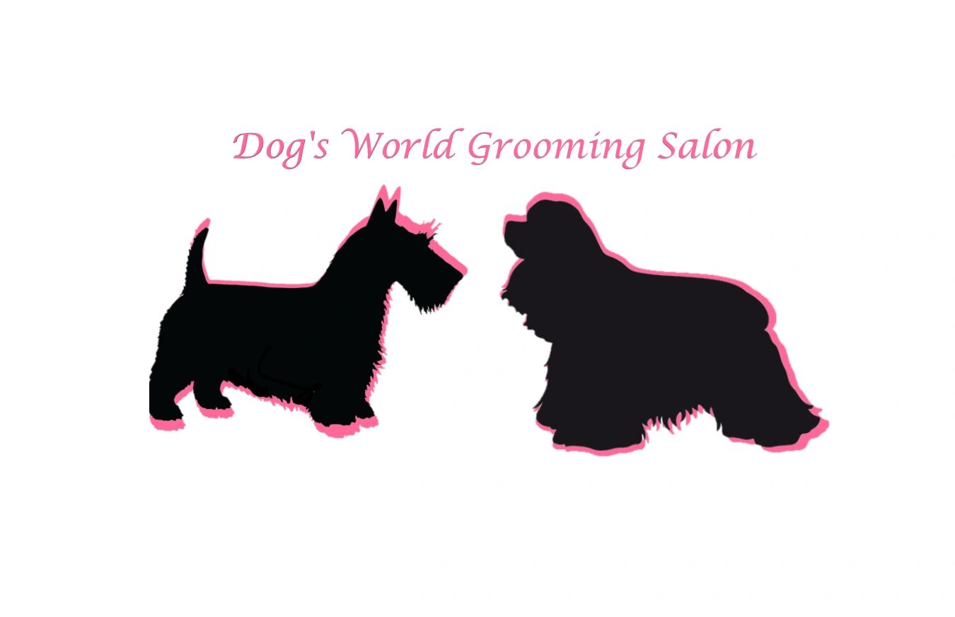 Dog Grooming Macon,