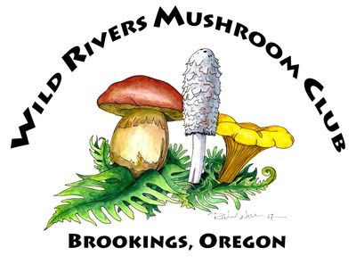 The Wild Rivers Mushroom Club logo was designed by club member Richard Wickstrom.