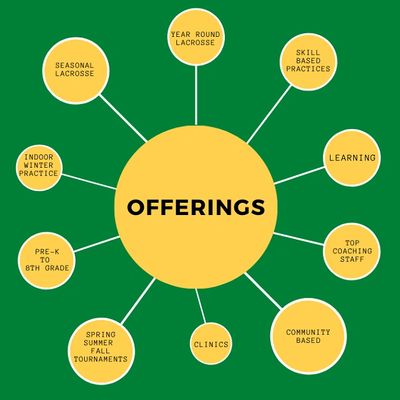 Diagram showing different offerings related to lacrosse.