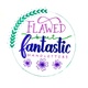 Flawed but Fantastic