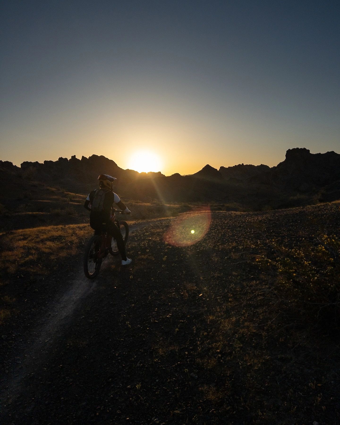 Cycle Therapy Bike & E-bike Shop - eBike shop in Lake Havasu City, AZ