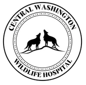 Central Washington Wildlife Hospital