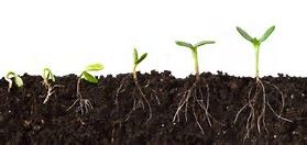 The Church of New Life