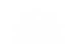 Embodied Healing