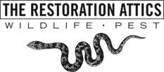 The Restoration Attics