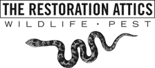 The Restoration Attics