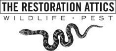 The Restoration Attics