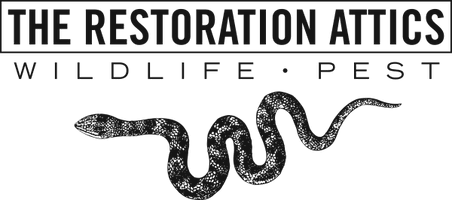 The Restoration Attics