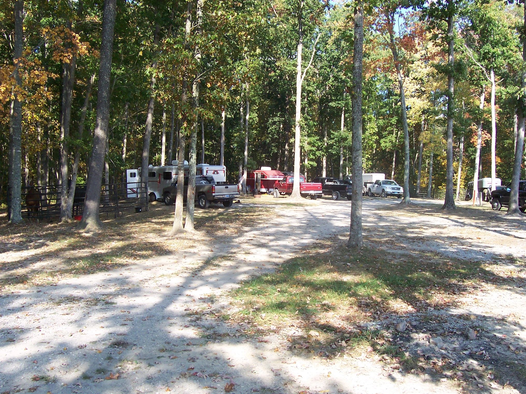 Rates Big South Fork Campgrounds Trail Riding Horse Camps Camping