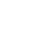 Tiny Viking Cybersecurity Solutions LLC