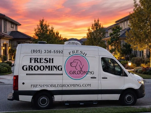 Mobile pet grooming van parked in a residential neighborhood at sunset.