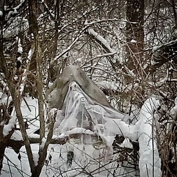 LE / MIL Only
Click photo to register