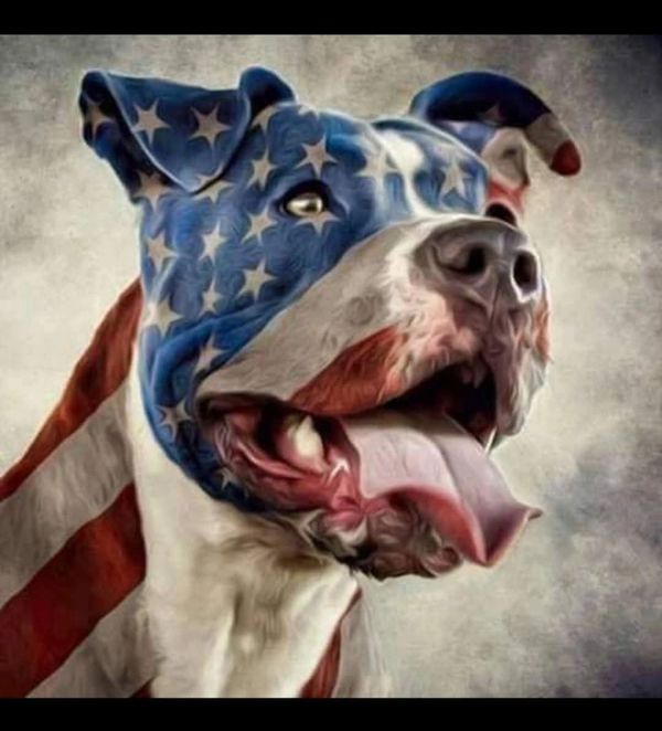 same day service available, locally owned.
honest pricing , no hidden fees!
#Trashpickup
#appliancer