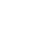 bluelakeleather